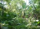 Battaramulla Residential land for sale/rent